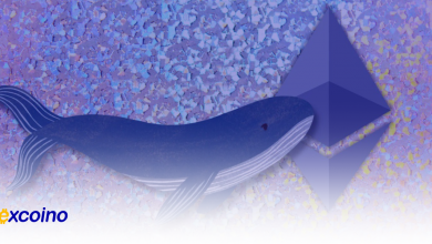 حرکات بزرگ در دنیای اتریوم، نهنگها ۵۰۰۰ ETH جابهجا کردند!