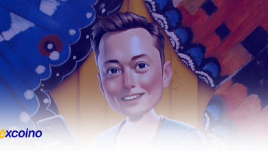 برداشت توکن ایکس امپایر