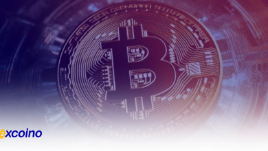 سرمایهگذاری استراتژیک نهنگ بیتکوین: ۲۰۰ BTC جدید و سود ۱۸۱ میلیون دلاری