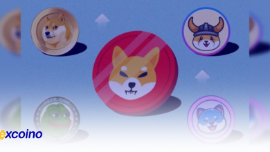 تحولات بزرگ در ۲۰۲۴: ۵ سکه میمی که توجه بازار را جلب کردهاند