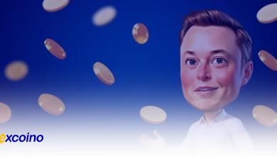 پایان فاز Chill Phase در ماسک امپایر: فرصتی که نباید از دست داد!