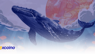 خرید 200 بیتکوین توسط نهنگ: افزایش 181 میلیون دلاری سود