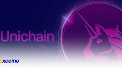 آیا ویتالیک بوترین از یونیچین (Unichain) حمایت میکند؟