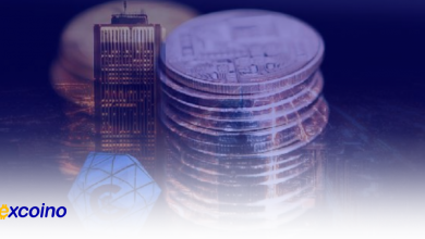 تحلیل روند خرید بیتکوین توسط مدیر عامل CryptoQuant