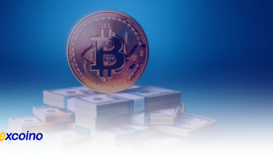 بیتکوین ۶ درصد افزایش یافت؛ نهنگها در حال انتقال حجمهای بزرگ USDT به بایننس هستند