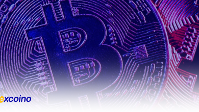 نرخ تأمین مالی بیت کوین به بالاترین سطح چند ماه اخیر رسید