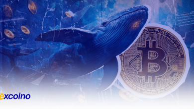 حرکت بزرگ کیف پول بیت‌کوین از عصر ساتوشی