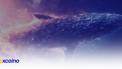 نهنگهای بیتکوین آماده افزایش قیمت، گزارش CryptoQuant