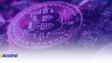 ورود ۴۷۰ میلیون دلار به ETFهای بیتکوین و افزایش ۴۸ میلیون دلاری در ETFهای اتریوم