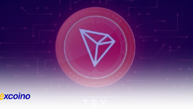 رونق درآمدی ترون در سهماهه سوم 2024، رشد 6% در میان افزایش میم کوین ها