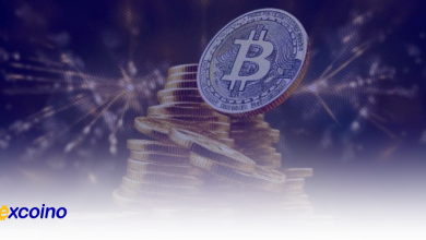 احتمال تکرار فصل آلتکوینها با افزایش دامیننس بیتکوین