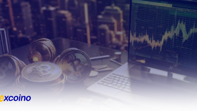 تجمع نهنگها، نشانهای از حرکات بزرگ در بازار بیتکوین