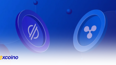 توکن های XRP و XLM: شکلدهندگان فردای پرداختها با نقشهای منحصربهفرد در بازار رمزارزها
