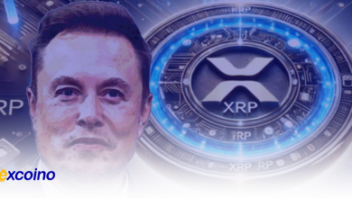 اظهارات ایلان ماسک درباره XRP و پتانسیل ارزهای دیجیتال
