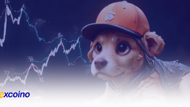 ارز داگ ویف با نام اختصاری WIF در اکسکوینو لیست شد