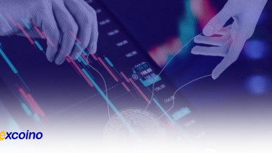 بیتکوین به ۵۰۰,۰۰۰ دلار خواهد رسید