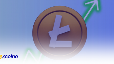 لایتکوین، افزایش حجم ۳۶ میلیارد دلاری و ورود به ۱۰ ارز برتر