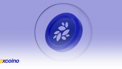 ارز انکیان با نام اختصاری انکیان در اکسکوینو لیست شد