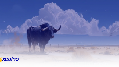 آیا پیروزی ترامپ آغازگر روند صعودی بیتکوین خواهد بود؟