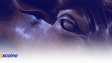 بیتکوین به ۷۱ هزار دلار رسید؛ تحرکات قوی در بازار کریپتو