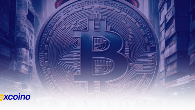 نوسانات بیتکوین بهدنبال انتخابات آمریکا: پیشبینی هدف ۸۰,۰۰۰ دلاری