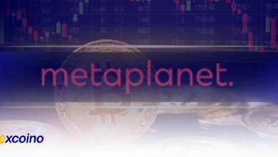 افزایش ذخایر بیتکوین متاپلانت به بیش از ۱,۰۰۰ BTC پس از خرید جدید