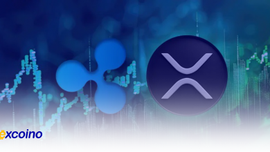 حرکت بزرگ نهنگ XRP، چه آیندهای در انتظار قیمت XRP است؟