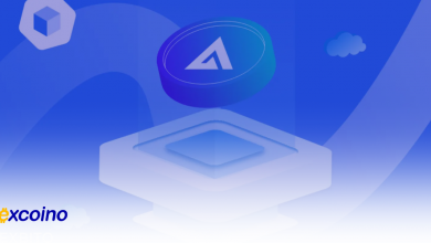 ارز جی ام اکس با نام اختصاری GMX در اکسکوینو لیست شد