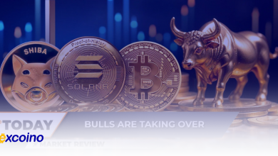 آیا روند صعودی شیبا اینو (SHIB) به پایان رسیده است؟ سیگنالهای نگرانکننده در سولانا (SOL) و مقاومت بعدی بیتکوین (BTC)