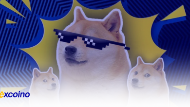 نهنگ دوجکوین ۱۷۸ میلیون DOGE خرید، آیا قیمت به ۰.۲ دلار خواهد رسید؟
