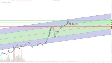 رکوردشکنی در سرمایه‌گذاری‌های ETF بیت‌کوین و اتریوم پس از انتخابات آمریکا
