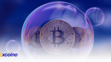 رابین بروکس، بیتکوین فقط یک حباب است