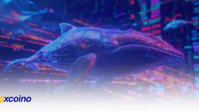 وحشت نهنگها، فروش ۲,۰۱۹ بیتکوین در پی کاهش قیمت