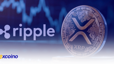 داراییهای XRP ریپل، چه مقدار توکن در اختیار دارد؟