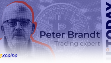 پیشبینی صعود بیتکوین به ۹۷۰۰۰ دلار توسط پیتر برانت