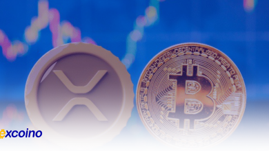پیشبینی قیمت XRP در صورت رسیدن بیتکوین به ۵۰۰,۰۰۰ دلار