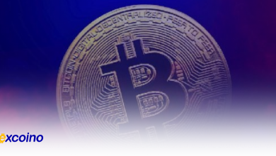 پیشبینی قیمت ۳۰۰ هزار دلاری بیتکوین توسط مدیرعامل VanEck: گامی به سوی "طلای دیجیتال"