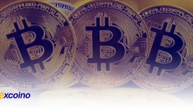 پیشبینی رشد انفجاری بیتکوین در نوامبر و احتمال رسیدن به ۱۰۰ هزار دلار