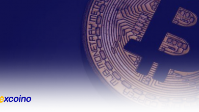 آیا افزایش قیمت بیتکوین پس از انتخابات، نویددهنده رونق آلتکوینها است؟