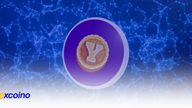 تاریخ عرضه یس کوین