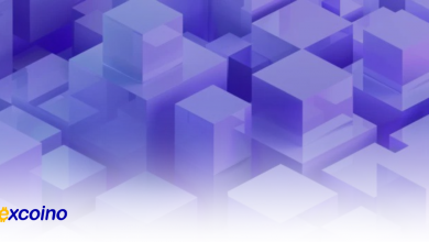 رکوردهای جدید ورود و خروج سرمایه در ETF های بیتکوین و اتریوم همزمان با تحولات انتخاباتی آمریکا