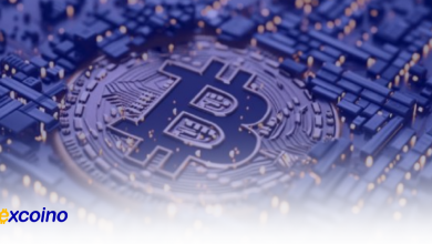 بیتکوین به رکورد تاریخی جدیدی رسید؛ خروج ۴۲۵ میلیون دلار بیتکوین از بایننس!