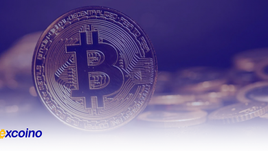 رشد چشمگیر معاملات آپشن بیتکوین؛ موسسات بزرگ چشم به سودهای بالاتر دوختهاند