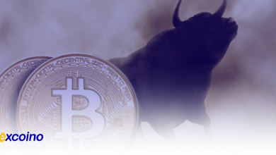 پس از رشد بزرگ قیمت بیتکوین چه انتظاری باید داشت؟ نظر کارشناسان