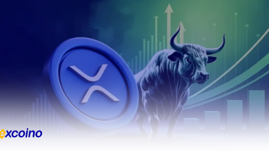 اوجگیری قیمت XRP به بالاترین سطح در ۲ سال اخیر