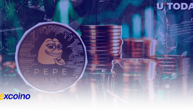 جریان ورودی نهنگها به PEPE با رشد ۴۴۷۹٪: روند بعدی چیست؟
