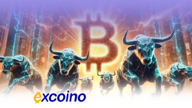 بیتکوین در آستانه ۱۰۰ هزار دلاری شدن؛ مسابقه شرکتها برای ذخیره BTC!