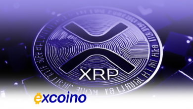 آیا XRP ETF به زودی راهاندازی میشود؟