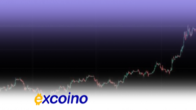 رکورد تاریخی بیتکوین، ۹۳,۹۰۵ دلار!