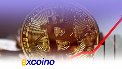 خروج ۴.۵ میلیارد دلاری بیتکوین از صرافیها: جرقهای برای رسیدن به ۱۰۰ هزار دلار؟